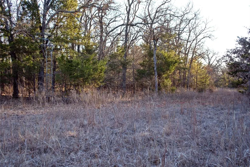 Photo 5 — 31141 Rush Road, Wanette, OK 74878