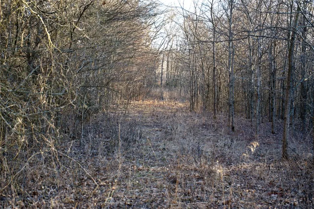 Photo 9 — 31141 Rush Road, Wanette, OK 74878
