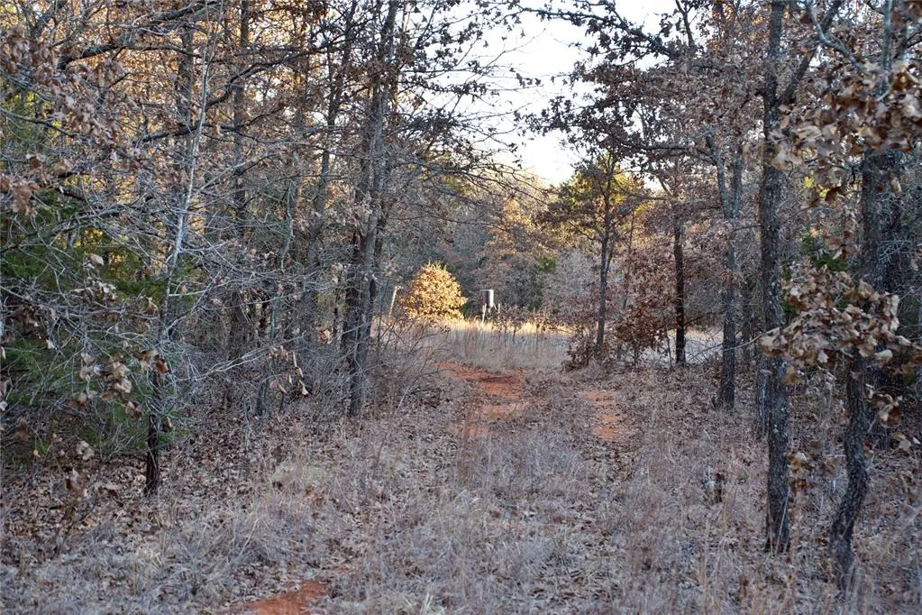 Photo 14 — 31141 Rush Road, Wanette, OK 74878
