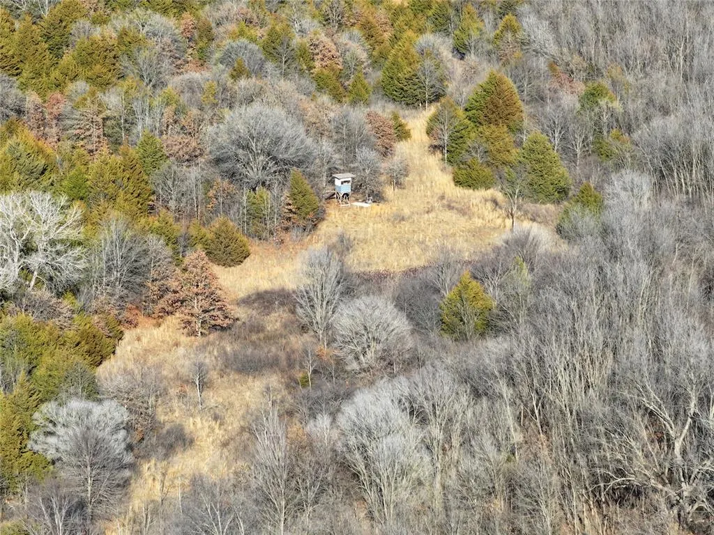 Photo 36 — 31141 Rush Road, Wanette, OK 74878