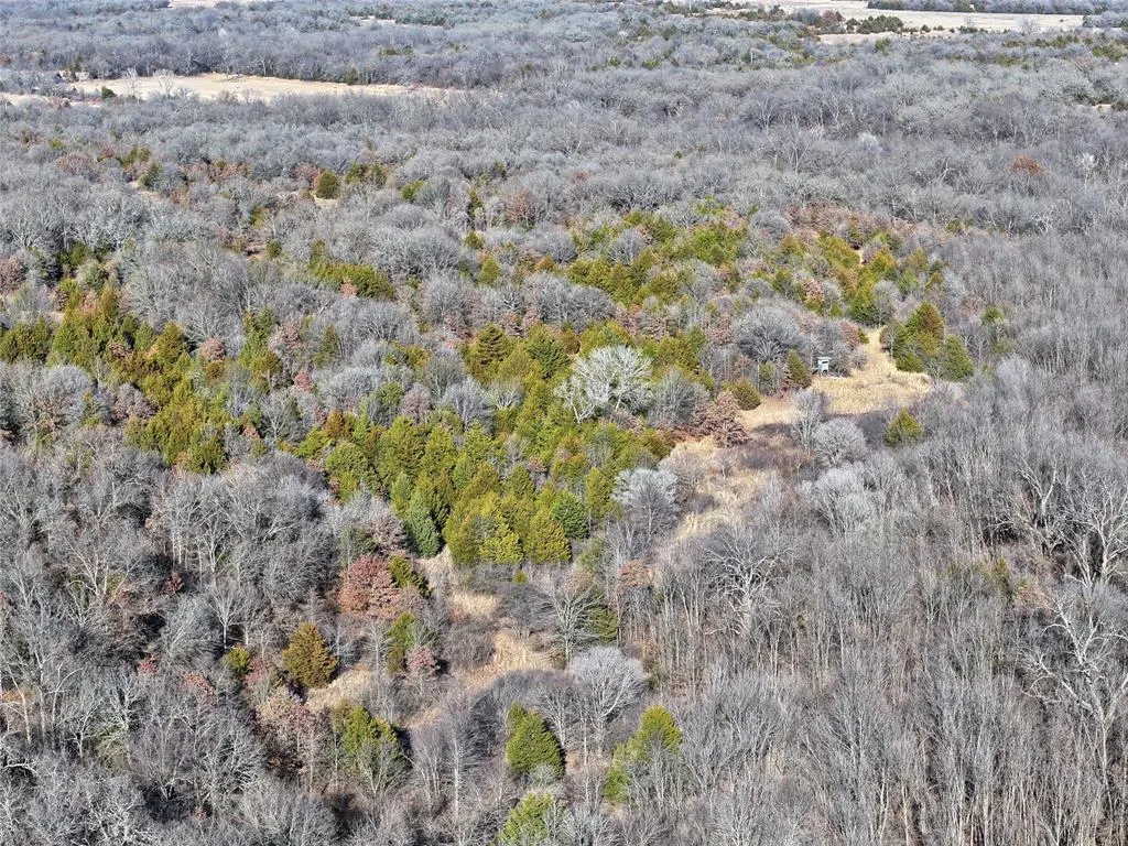 Photo 37 — 31141 Rush Road, Wanette, OK 74878
