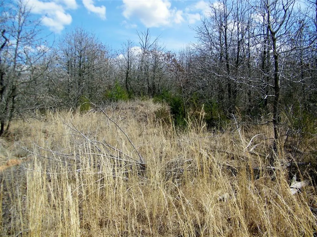 Photo 6 — Etowah Road, Norman, OK 73068