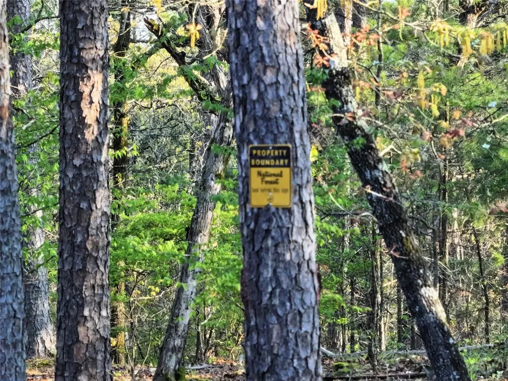 Photo 4 — 32 Teal Trail, Broken Bow, OK 74728