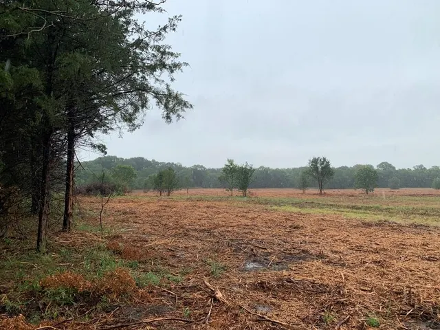 Photo 7 — 380155 E 1100 Road, Okemah, OK 74859