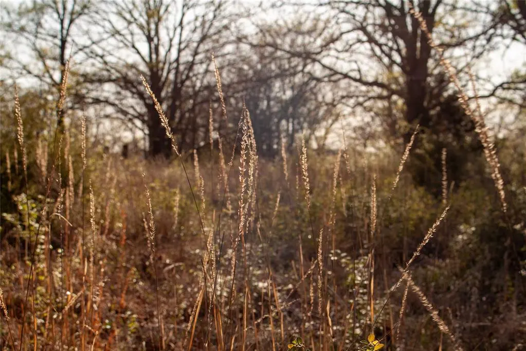 Photo 5 — 0000 Jackson Road, Okmulgee, OK 74447