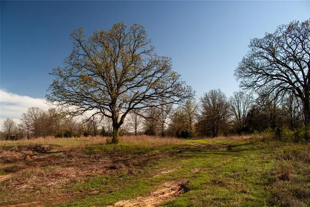 Photo 7 — 0000 Jackson Road, Okmulgee, OK 74447