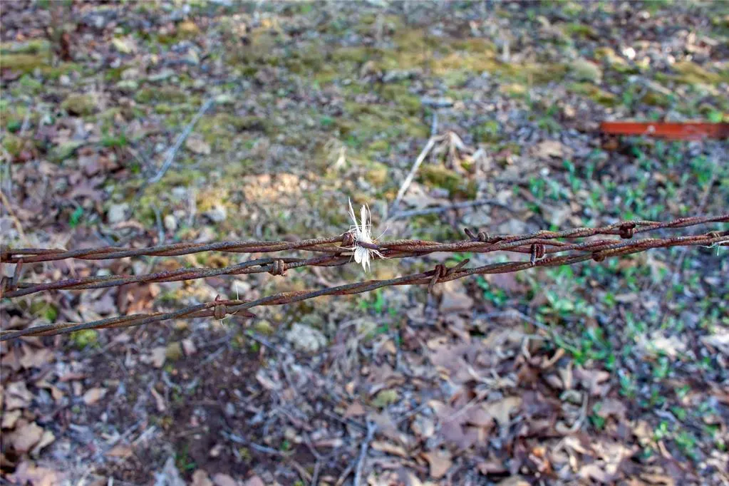 Photo 19 — 0000 Jackson Road, Okmulgee, OK 74447