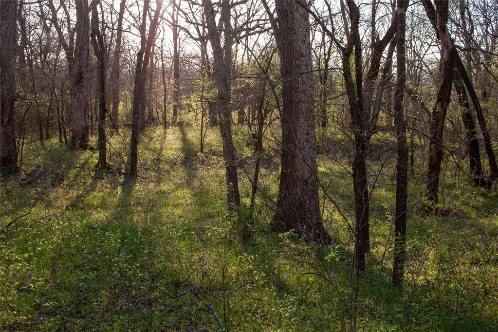 Photo 20 — 0000 Jackson Road, Okmulgee, OK 74447