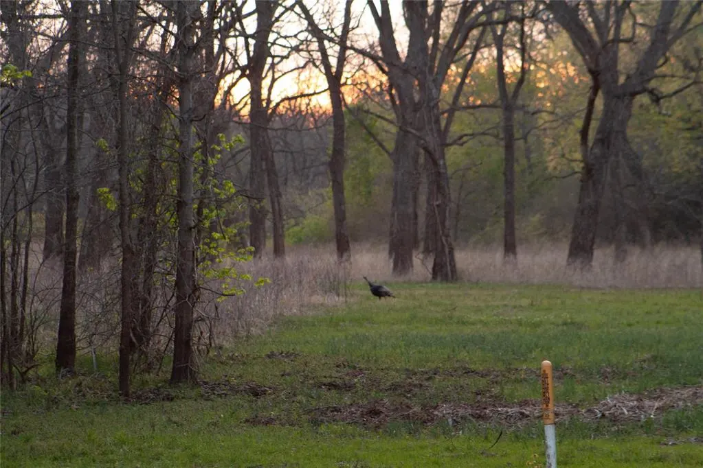 Photo 33 — 0000 Jackson Road, Okmulgee, OK 74447