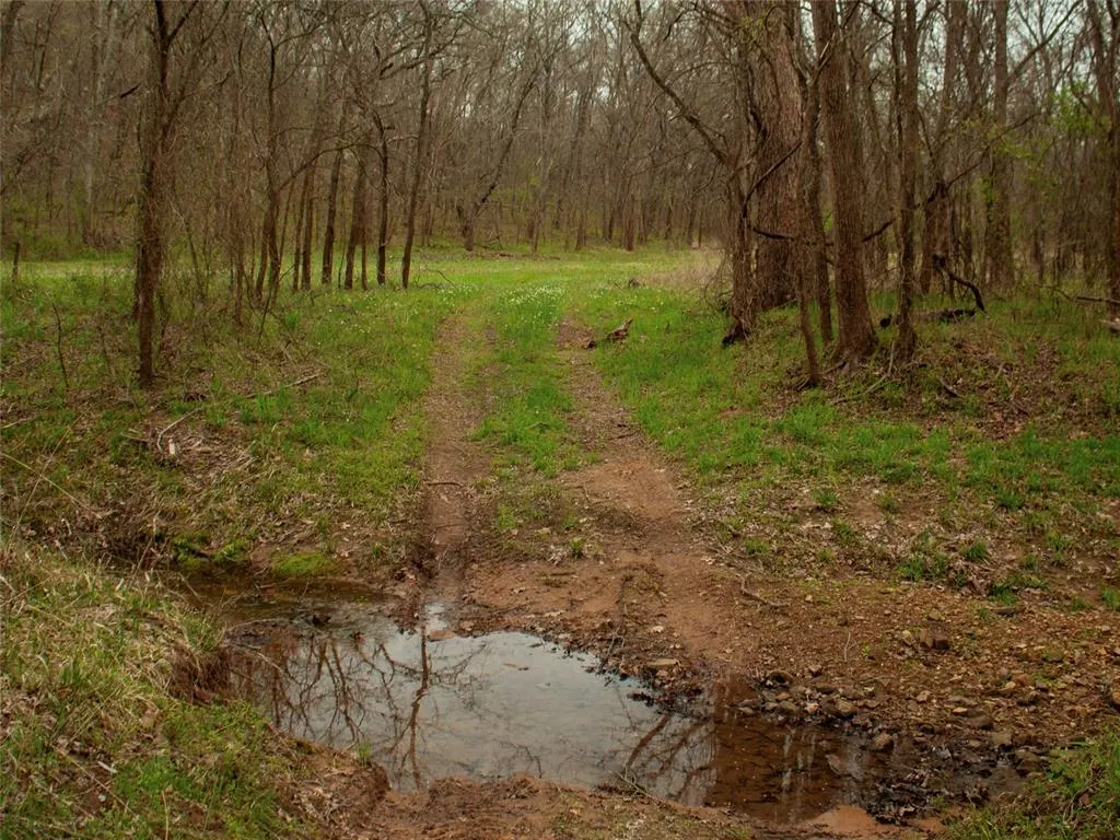 Photo 35 — 0000 Jackson Road, Okmulgee, OK 74447