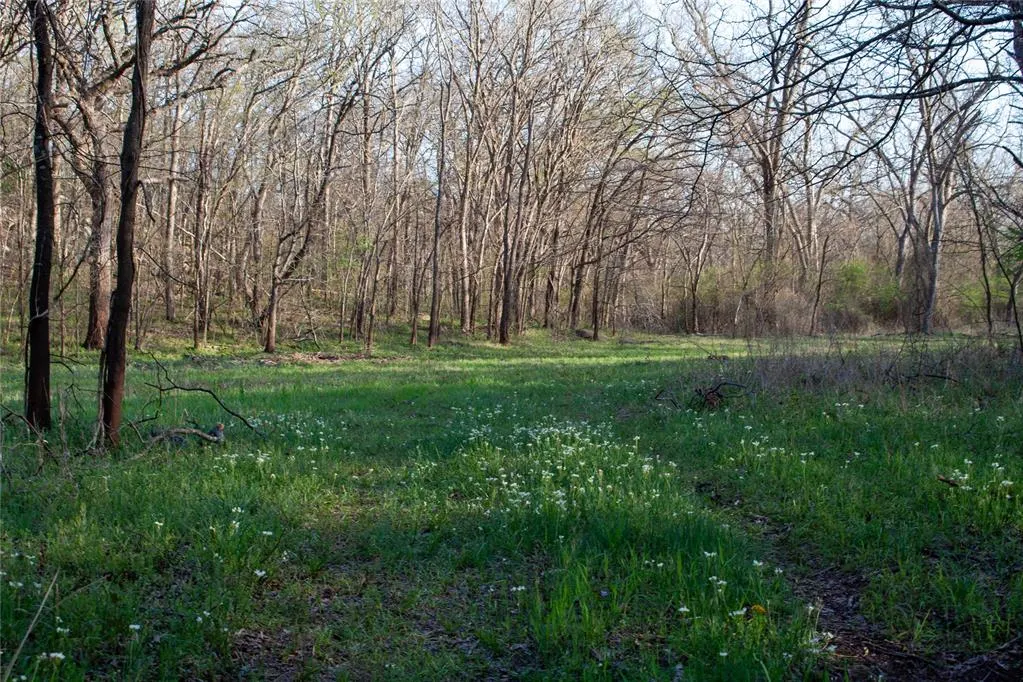 Photo 36 — 0000 Jackson Road, Okmulgee, OK 74447