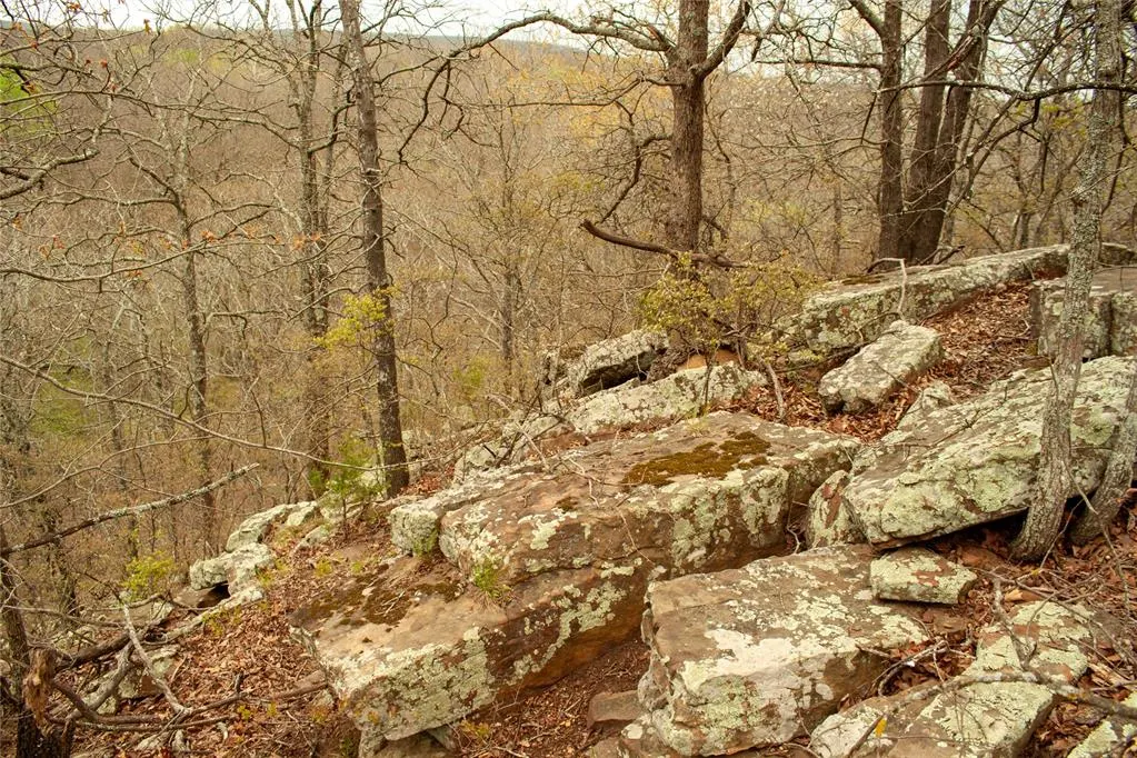 Photo 40 — 0000 Jackson Road, Okmulgee, OK 74447