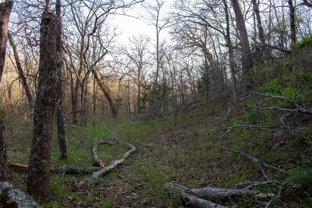 Photo 42 — 0000 Jackson Road, Okmulgee, OK 74447