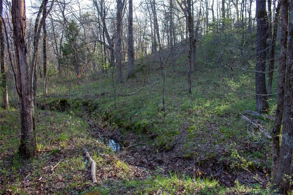 Photo 44 — 0000 Jackson Road, Okmulgee, OK 74447