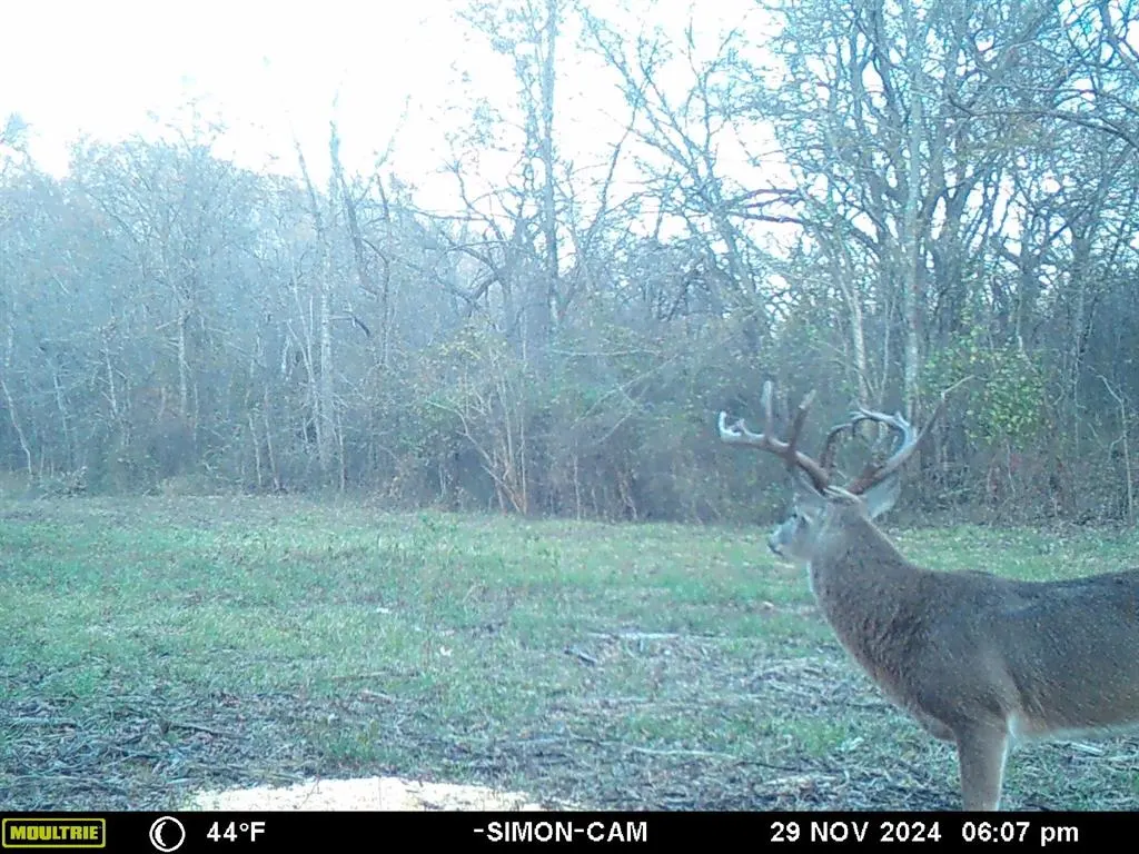 Photo 47 — 0000 Jackson Road, Okmulgee, OK 74447