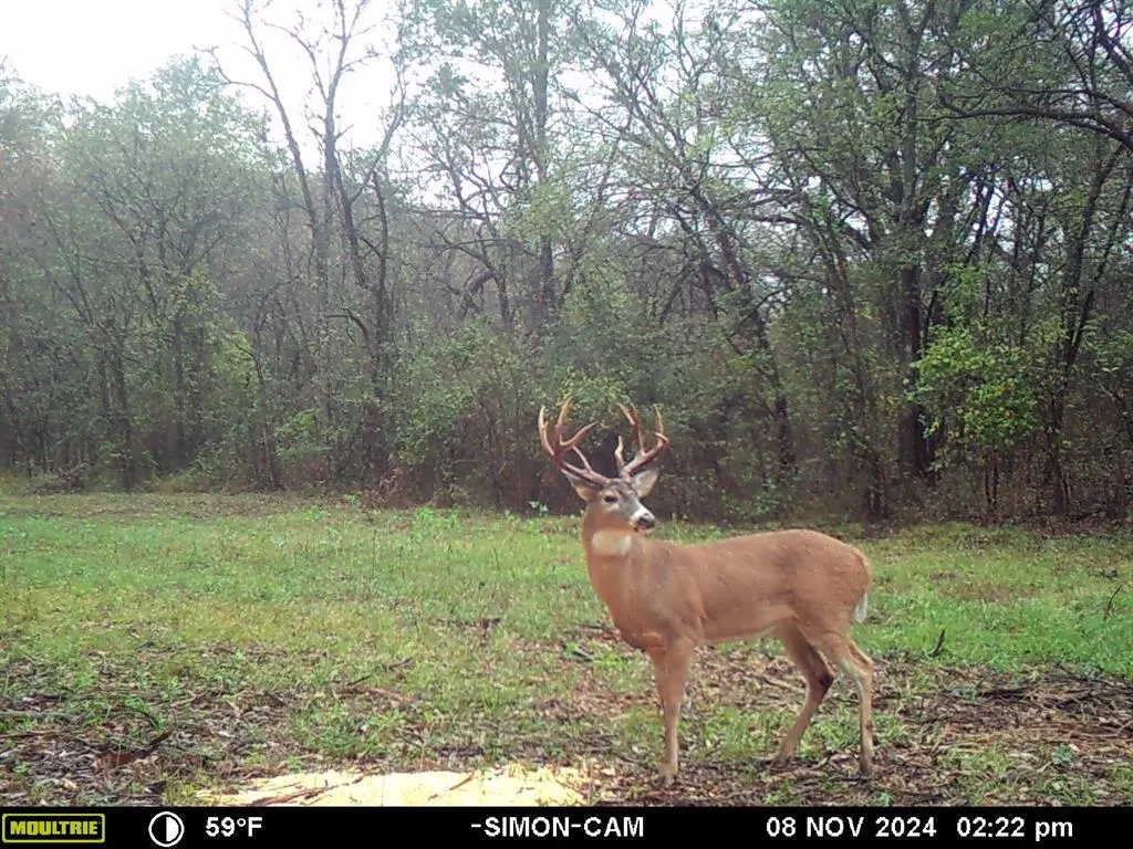 Photo 48 — 0000 Jackson Road, Okmulgee, OK 74447