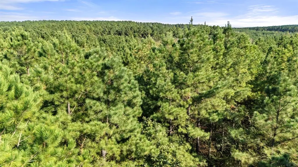 Photo 3 — 38 Oakley Trail, Broken Bow, OK 74728