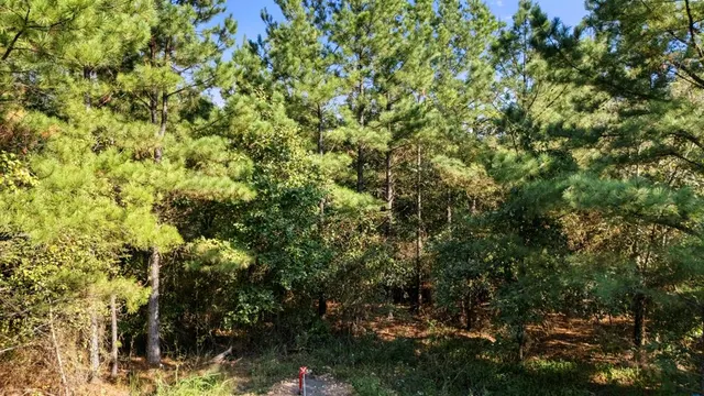 Photo 4 — 38 Oakley Trail, Broken Bow, OK 74728