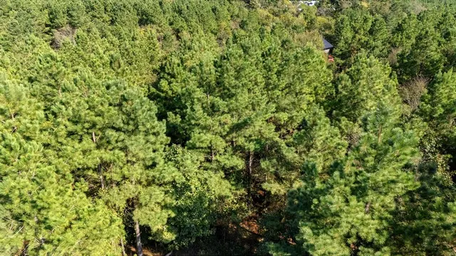 Photo 5 — 38 Oakley Trail, Broken Bow, OK 74728