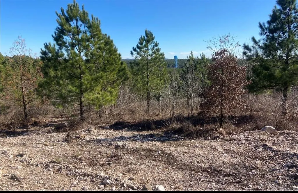 Front exterior — 310 Kaisley Blue Eye Way, Broken Bow, OK 74728