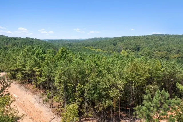 Photo 2 — 310 Kaisley Blue Eye Way, Broken Bow, OK 74728