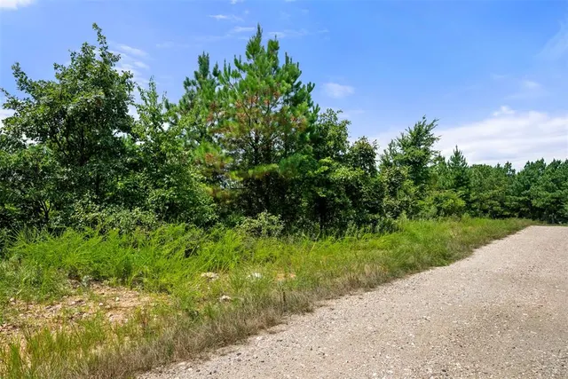Photo 5 — 368 Kaisley Blue Eye Way, Broken Bow, OK 74728