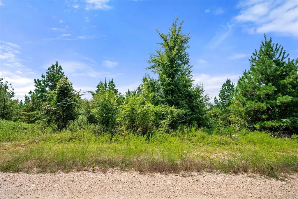 Photo 6 — 368 Kaisley Blue Eye Way, Broken Bow, OK 74728