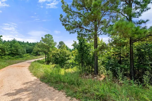 Photo 4 — 368 Kaisley Blue Eye Way, Broken Bow, OK 74728