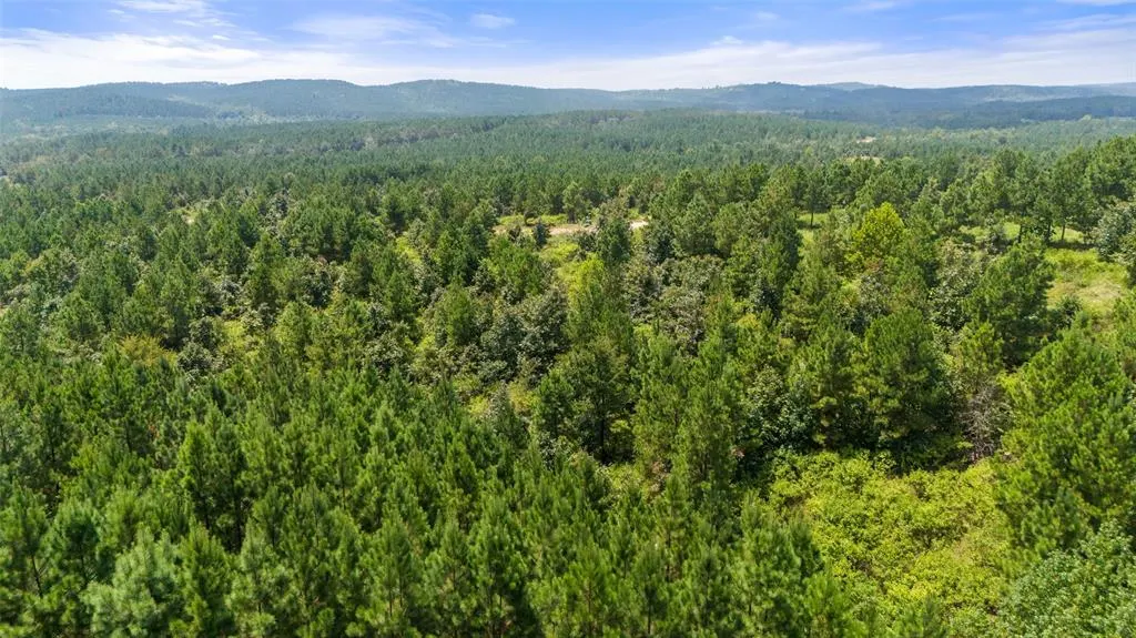Photo 12 — 368 Kaisley Blue Eye Way, Broken Bow, OK 74728