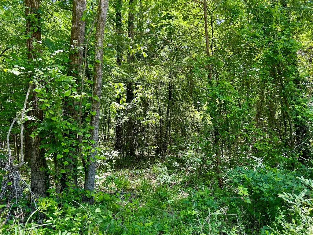 Photo 34 — 559 Poppy Road, Broken Bow, OK 74728