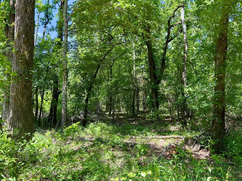 Photo 35 — 559 Poppy Road, Broken Bow, OK 74728