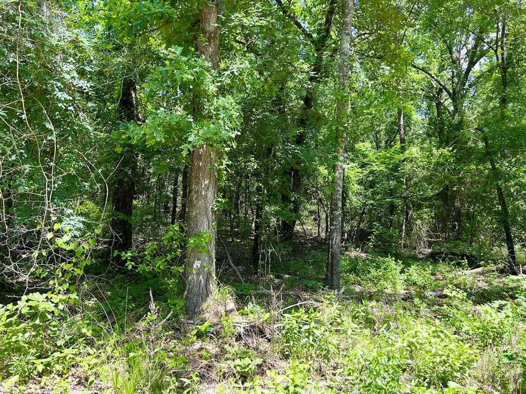 Photo 36 — 559 Poppy Road, Broken Bow, OK 74728
