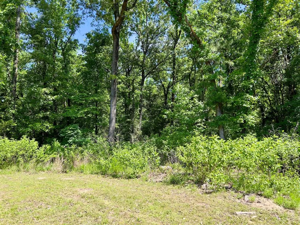 Photo 37 — 559 Poppy Road, Broken Bow, OK 74728
