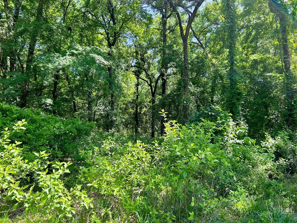 Photo 38 — 559 Poppy Road, Broken Bow, OK 74728