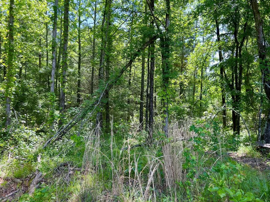 Photo 43 — 559 Poppy Road, Broken Bow, OK 74728