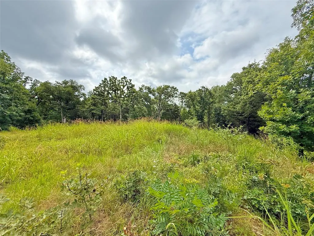 Photo 30 — 13901 E Andrew Lane, Newalla, OK 74857