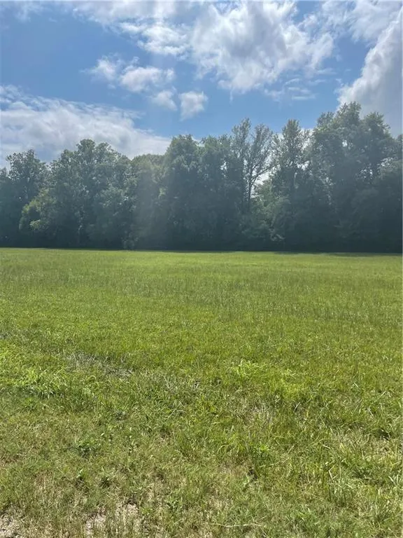 Photo 3 — 000 Eagle Fork Road, Smithville, OK 74957