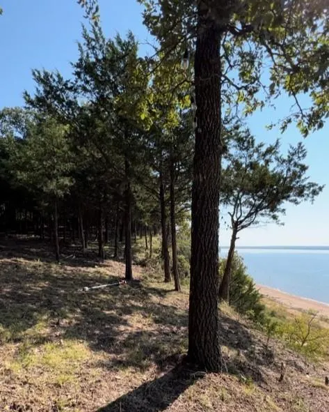 Photo 5 — 121381 S 4151 Road, Eufaula, OK 74432