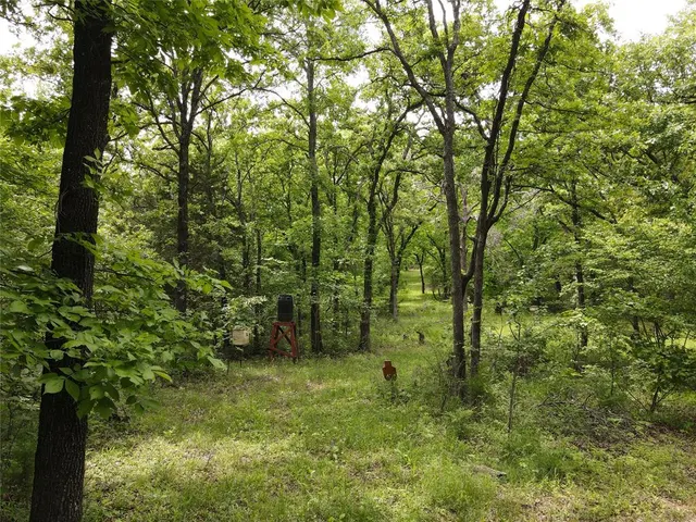 Photo 8 — Fishmarket Road, Tecumseh, OK 74873