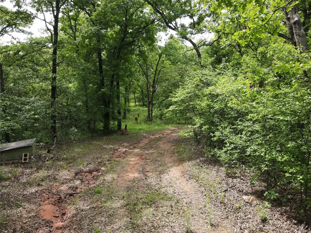 Photo 9 — Fishmarket Road, Tecumseh, OK 74873