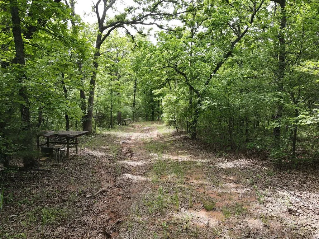 Photo 10 — Fishmarket Road, Tecumseh, OK 74873