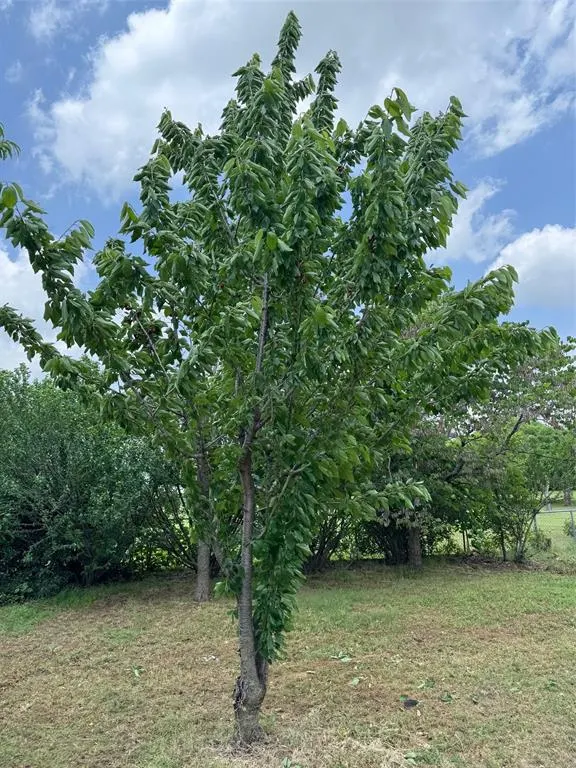 Photo 13 — 6220 S Banner Road, El Reno, OK 73036
