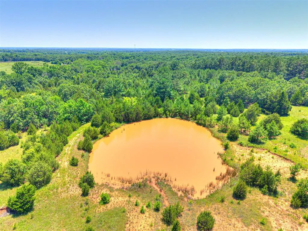 Photo 48 — E 1390 Road, Asher, OK 74826