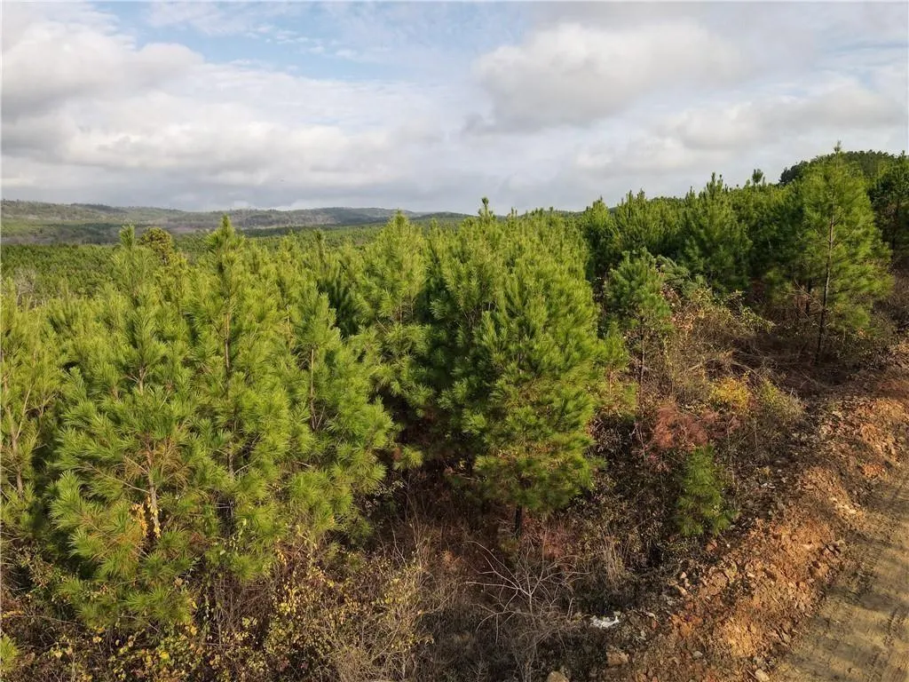 Photo 5 — 288 Sierra Vista Trail, Broken Bow, OK 74728