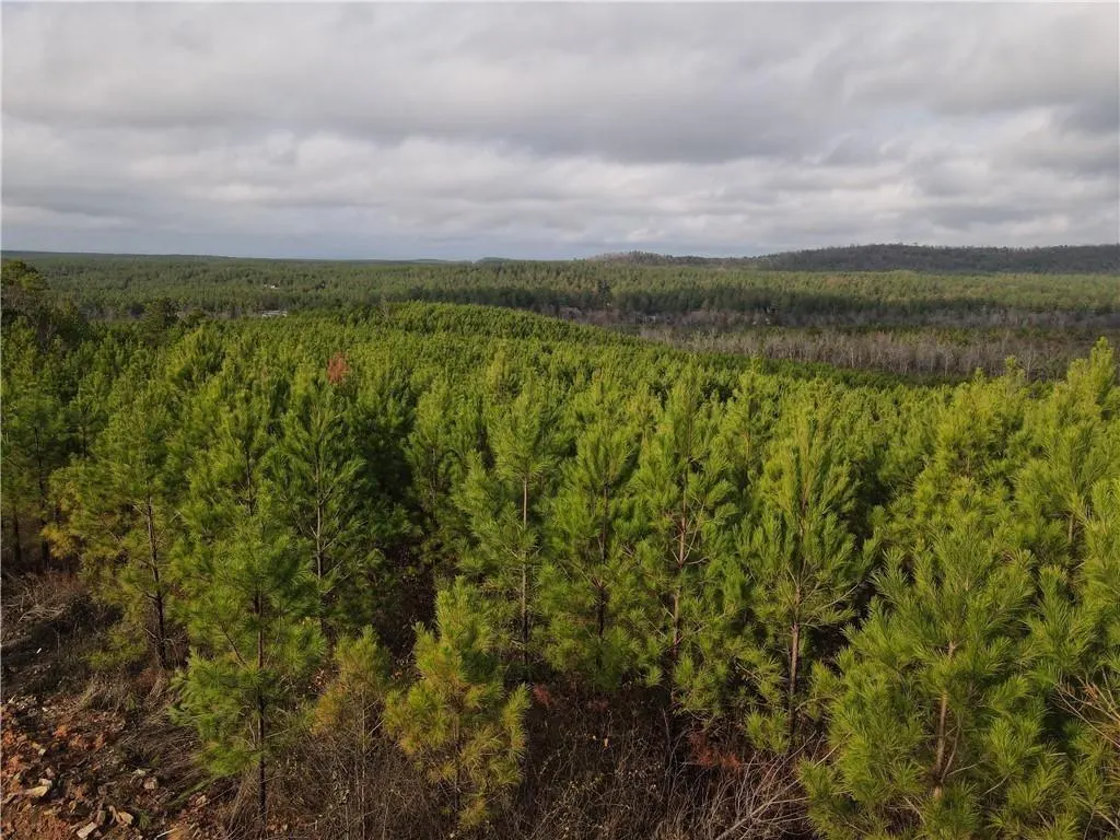 Photo 6 — 288 Sierra Vista Trail, Broken Bow, OK 74728