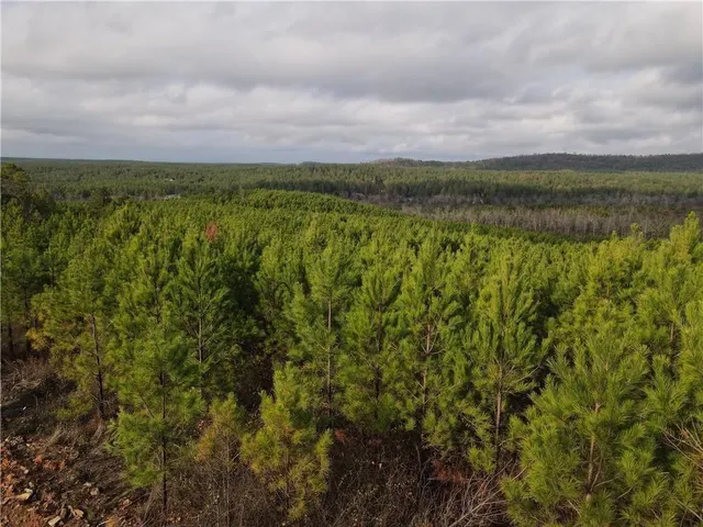 Photo 6 — 288 Sierra Vista Trail, Broken Bow, OK 74728