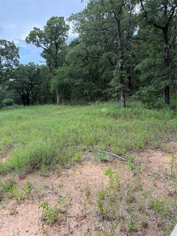 Photo 10 — 16200 Diamond Drive, Norman, OK 73026