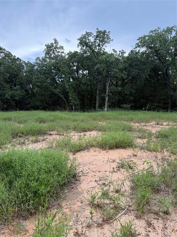 Photo 11 — 16200 Diamond Drive, Norman, OK 73026