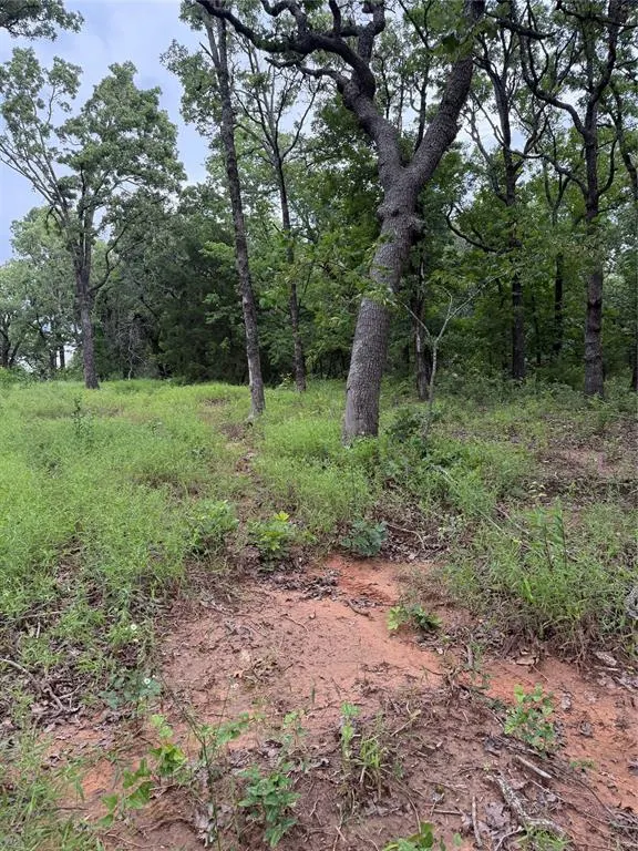 Photo 13 — 16200 Diamond Drive, Norman, OK 73026