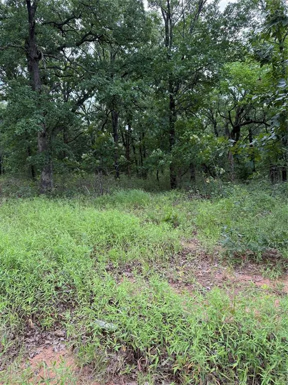 Photo 14 — 16200 Diamond Drive, Norman, OK 73026